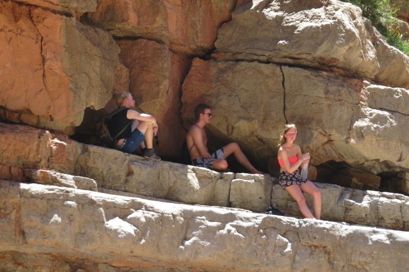 people covering themselves from a hot sun