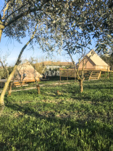 Two glamping sites in organic garden