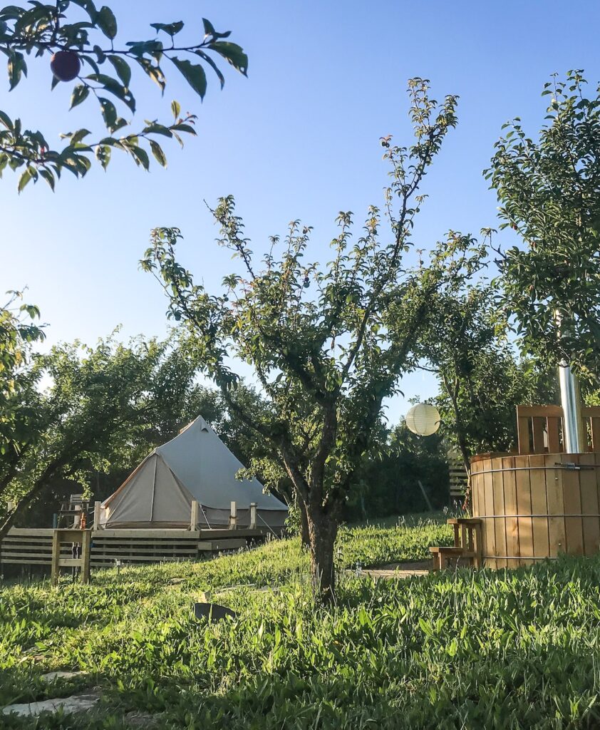 Single glamping with hot tub and fruit garden