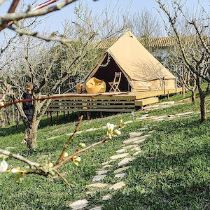 glamping site far end surf house