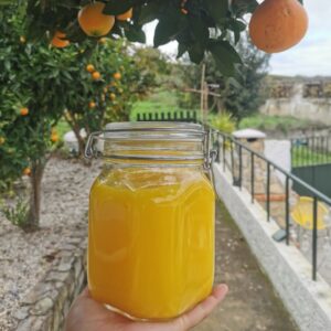 Freshly squeezed orange juice directly from the garden of the far end surf house