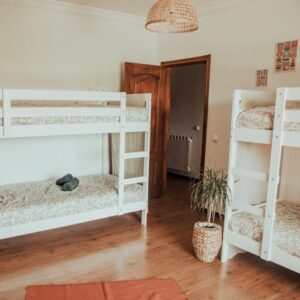 View of a shared room with two neatly made white bunk beds, adorned with a vibrant yucca plant adding a touch of greenery to the space.