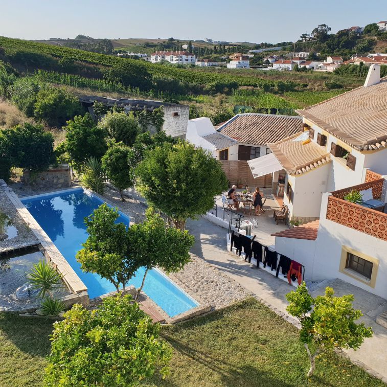 A sunlit scene with a charming white Portuguese house surrounded by lush greenery and vibrant orange trees. Wetsuits hang over the rail, casting shadows, while a brilliant blue pool complements the picturesque setting